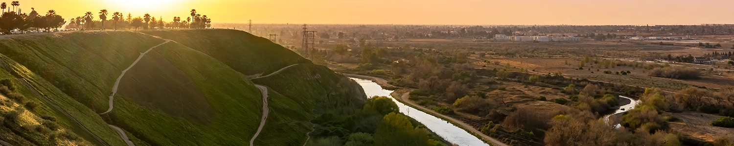 Banner image